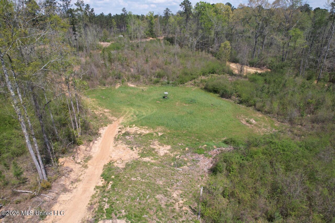 1351 Meadville Road Union Church, MS 39668 - Photo 14 of 55 DJI_0548 Large