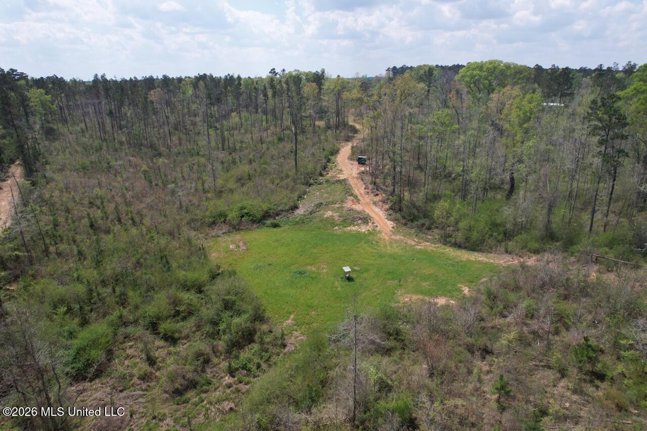 1351 Meadville Road Union Church, MS 39668 - Photo 15 of 55 DJI_0550 Large