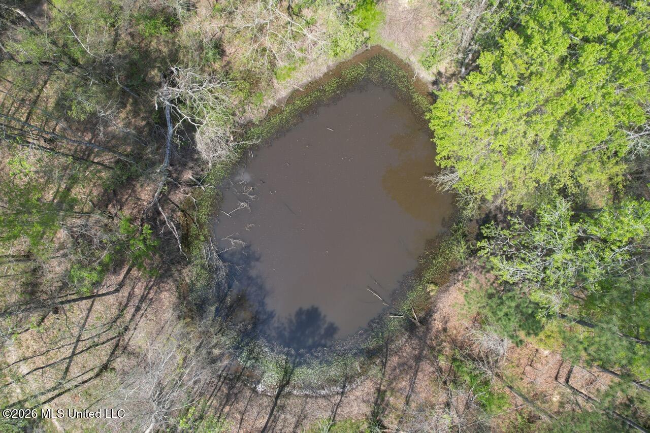 1351 Meadville Road Union Church, MS 39668 - Photo 16 of 55 DJI_0557 Large