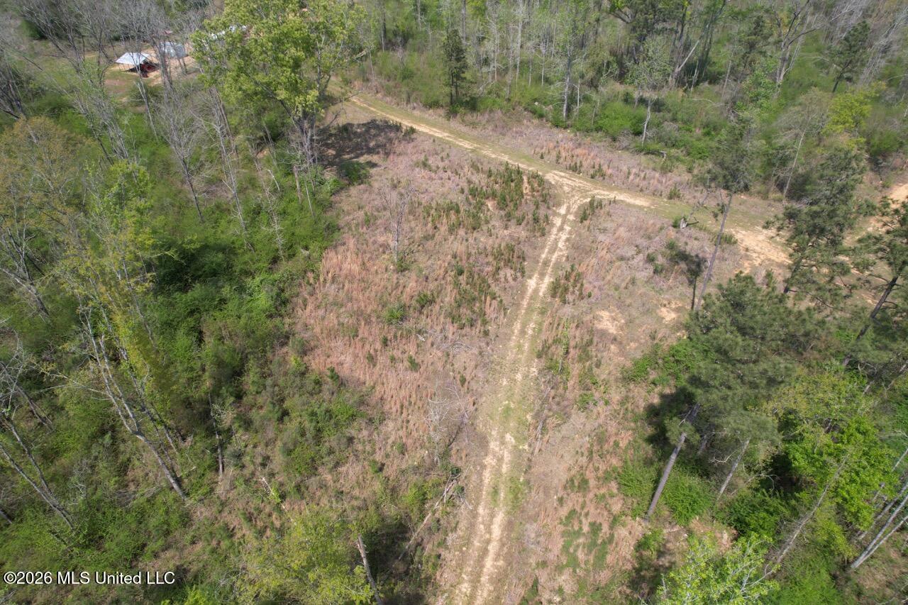 1351 Meadville Road Union Church, MS 39668 - Photo 17 of 55 DJI_0558 Large