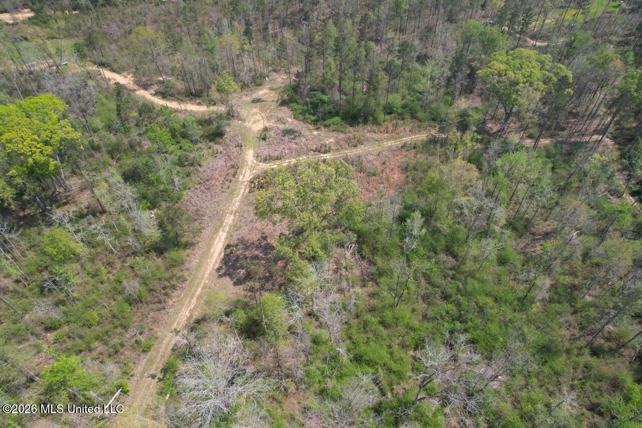 1351 Meadville Road Union Church, MS 39668 - Photo 18 of 55 DJI_0561 Large