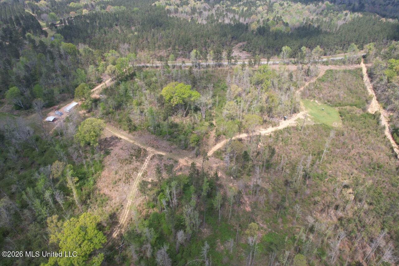 1351 Meadville Road Union Church, MS 39668 - Photo 21 of 55 DJI_0572 Large