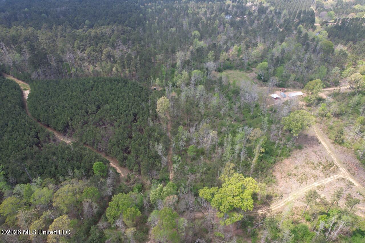 1351 Meadville Road Union Church, MS 39668 - Photo 23 of 55 DJI_0574 Large