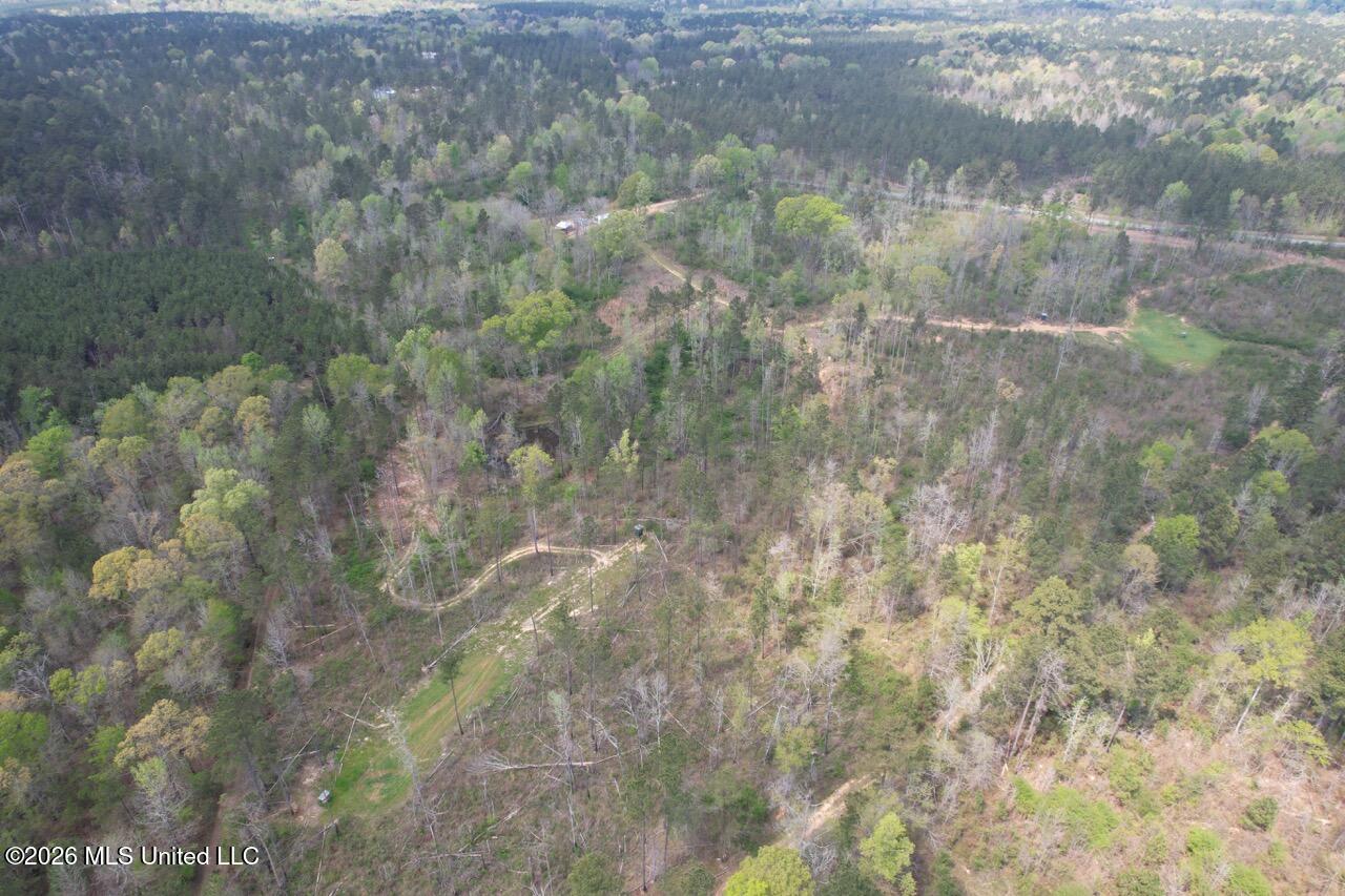 1351 Meadville Road Union Church, MS 39668 - Photo 24 of 55 DJI_0577 Large