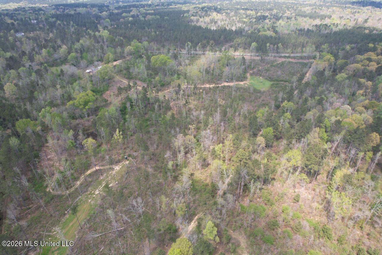 1351 Meadville Road Union Church, MS 39668 - Photo 25 of 55 DJI_0579 Large