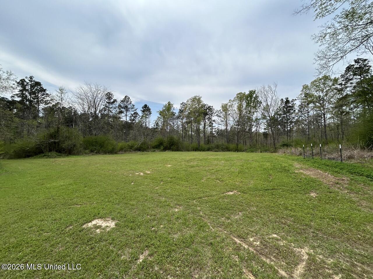 1351 Meadville Road Union Church, MS 39668 - Photo 38 of 55 IMG_3515 Large