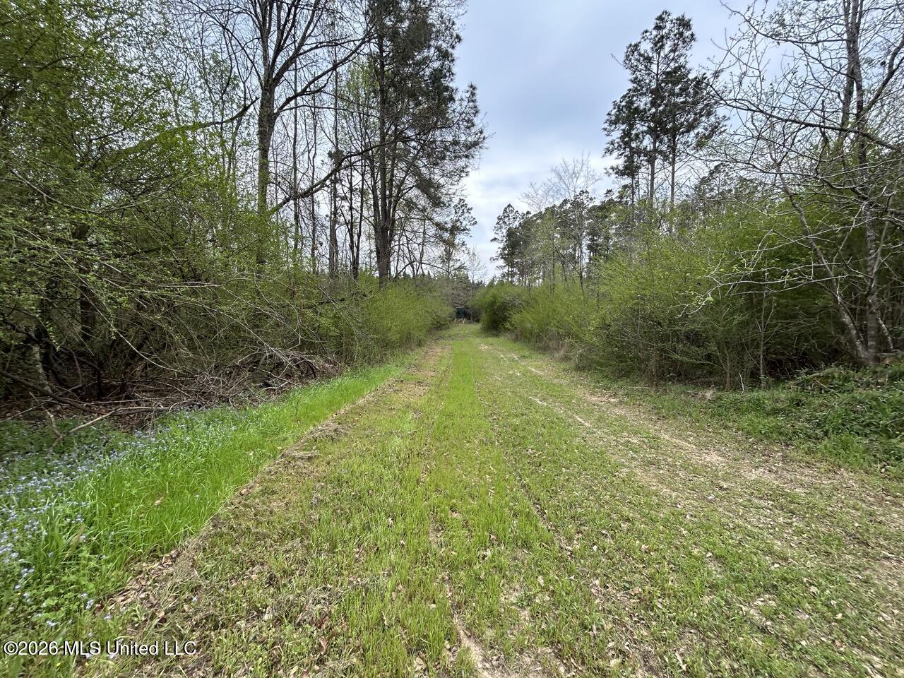 1351 Meadville Road Union Church, MS 39668 - Photo 39 of 55 IMG_3516 Large