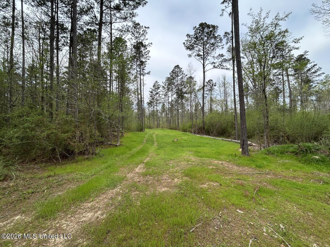 1351 Meadville Road Union Church, MS 39668 - Photo 40 of 55 IMG_3518 Large