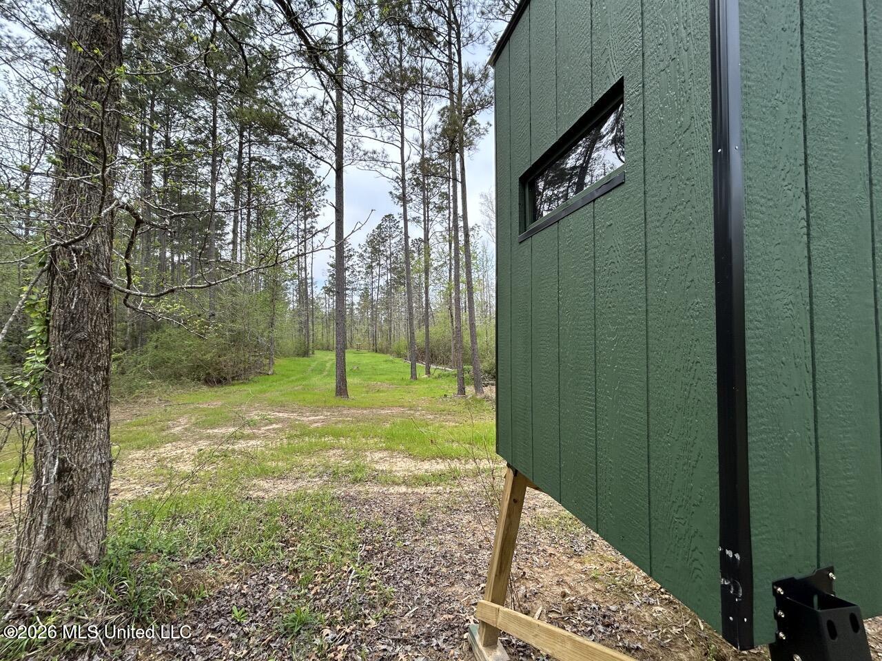1351 Meadville Road Union Church, MS 39668 - Photo 41 of 55 IMG_3519 Large