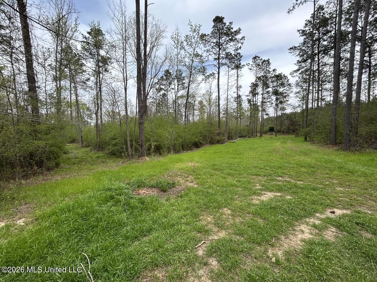 1351 Meadville Road Union Church, MS 39668 - Photo 42 of 55 IMG_3525 Large