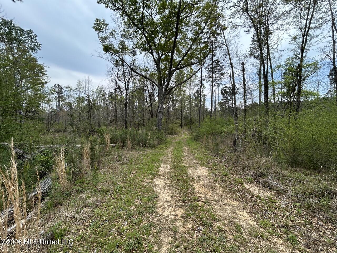 1351 Meadville Road Union Church, MS 39668 - Photo 43 of 55 IMG_3527 Large