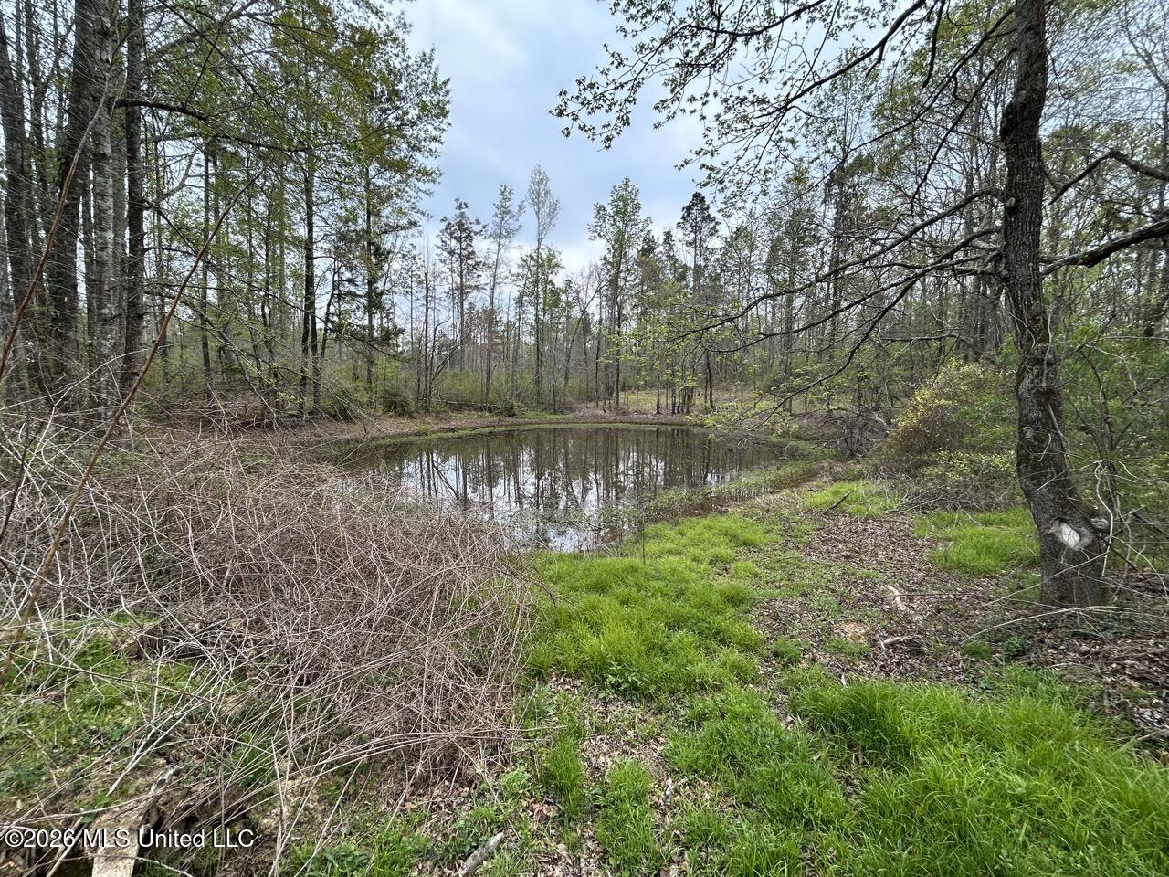 1351 Meadville Road Union Church, MS 39668 - Photo 44 of 55 IMG_3528 Large