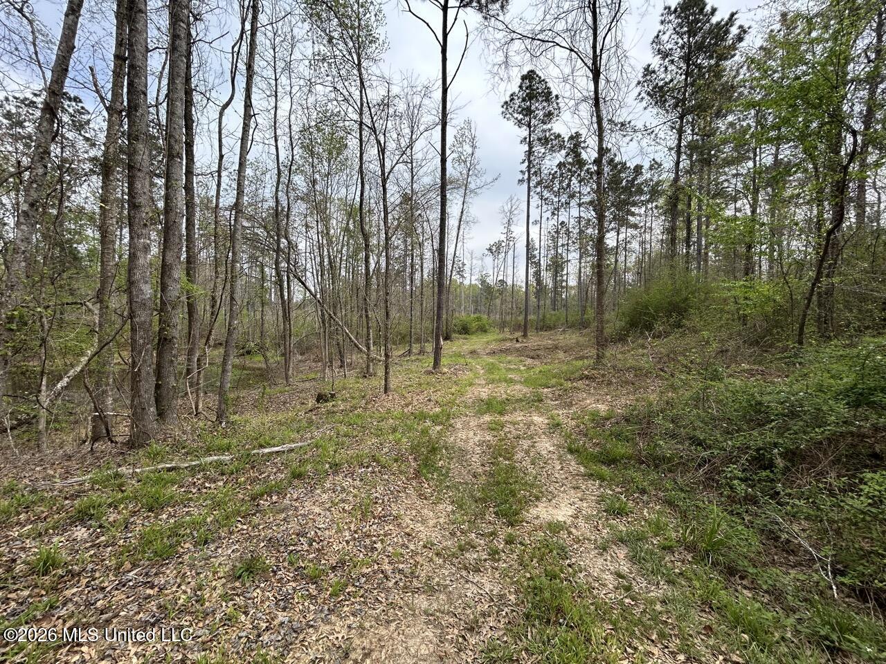 1351 Meadville Road Union Church, MS 39668 - Photo 45 of 55 IMG_3530 Large