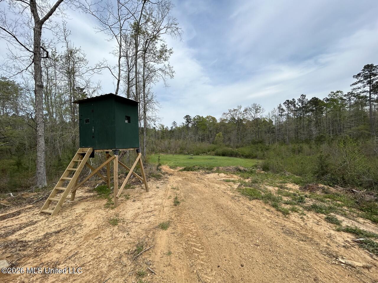 1351 Meadville Road Union Church, MS 39668 - Photo 46 of 55 IMG_3532 Large