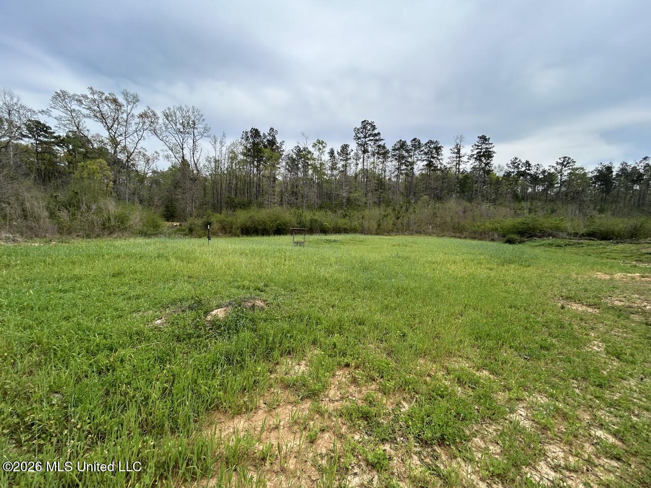 1351 Meadville Road Union Church, MS 39668 - Photo 47 of 55 IMG_3534 Large