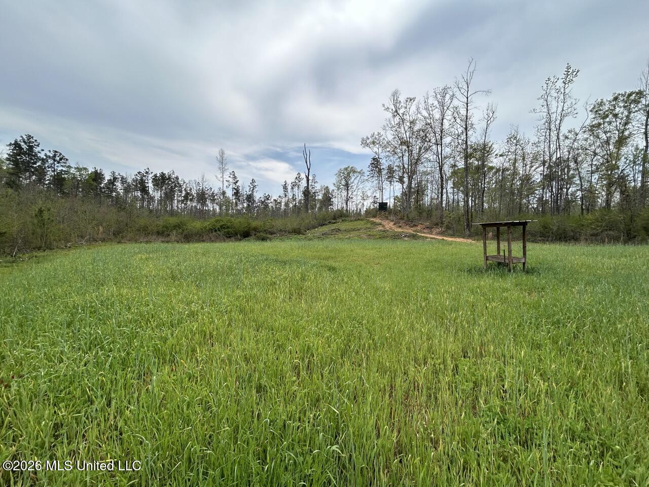 1351 Meadville Road Union Church, MS 39668 - Photo 48 of 55 IMG_3535 Large