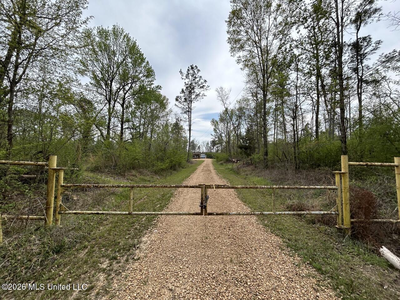 1351 Meadville Road Union Church, MS 39668 - Photo 49 of 55 IMG_3537 Large