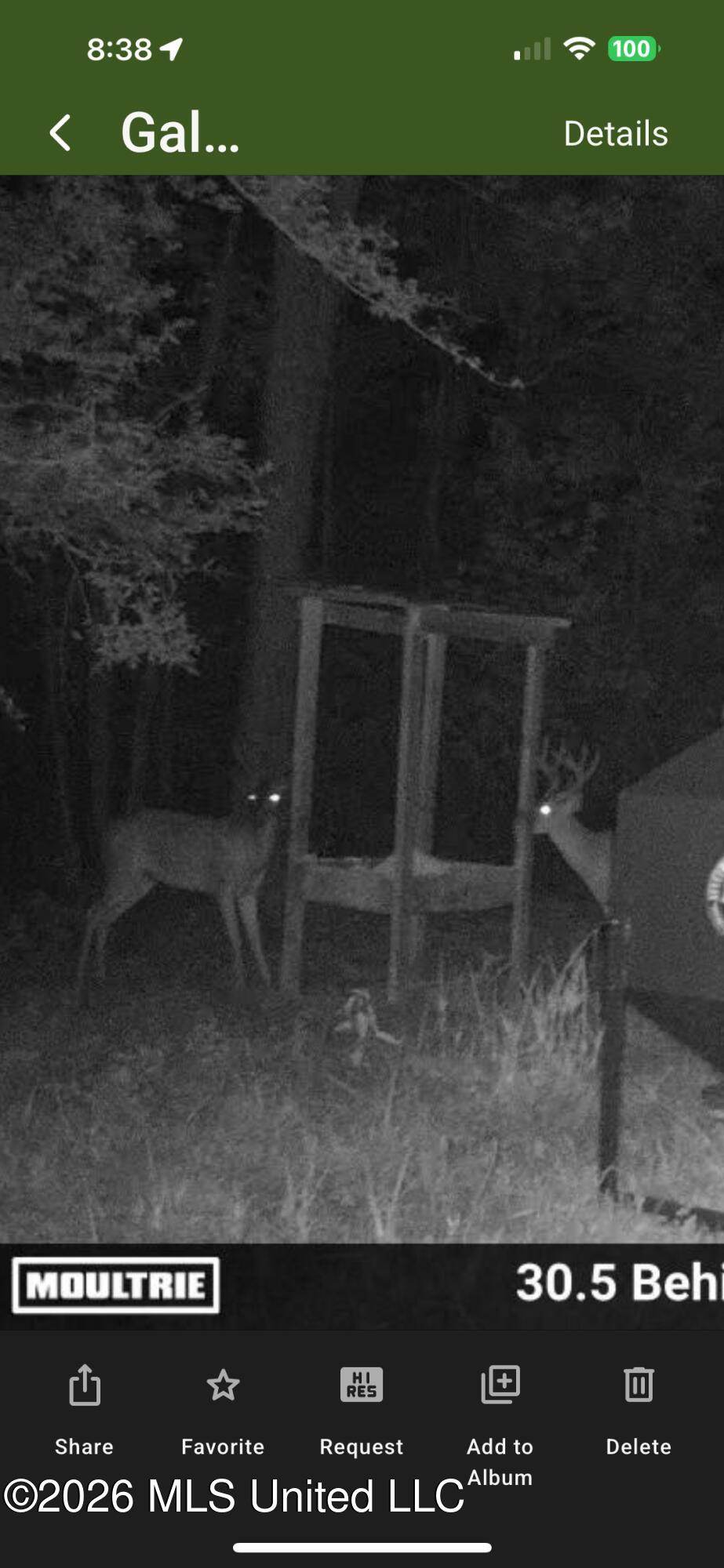 1351 Meadville Road Union Church, MS 39668 - Photo 51 of 55 IMG_4314