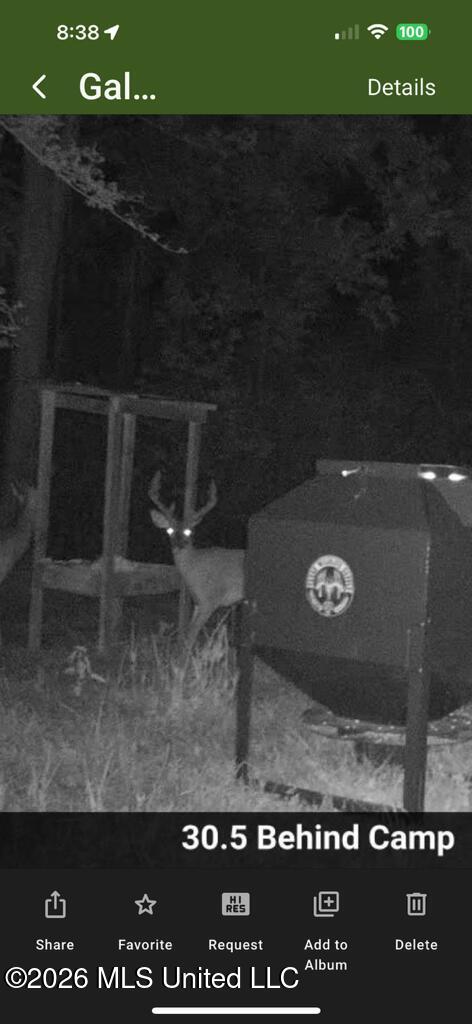 1351 Meadville Road Union Church, MS 39668 - Photo 52 of 55 IMG_4315