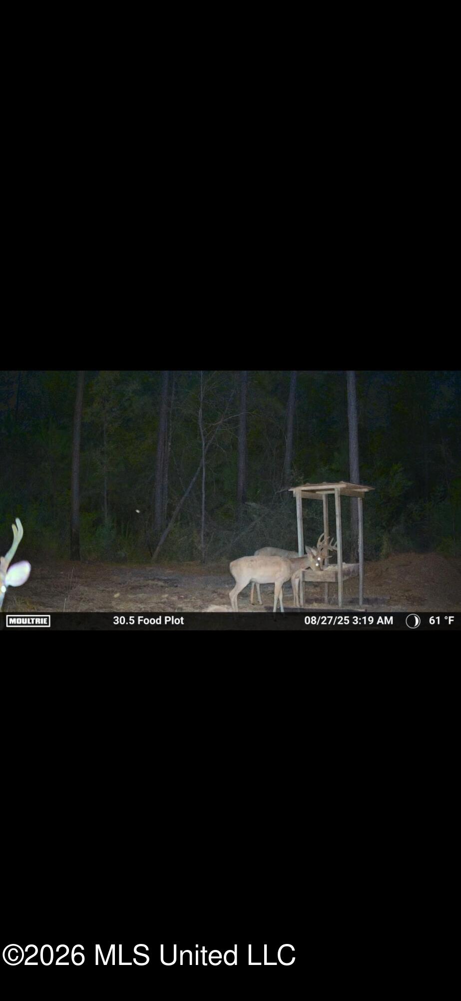 1351 Meadville Road Union Church, MS 39668 - Photo 54 of 55 IMG_4319