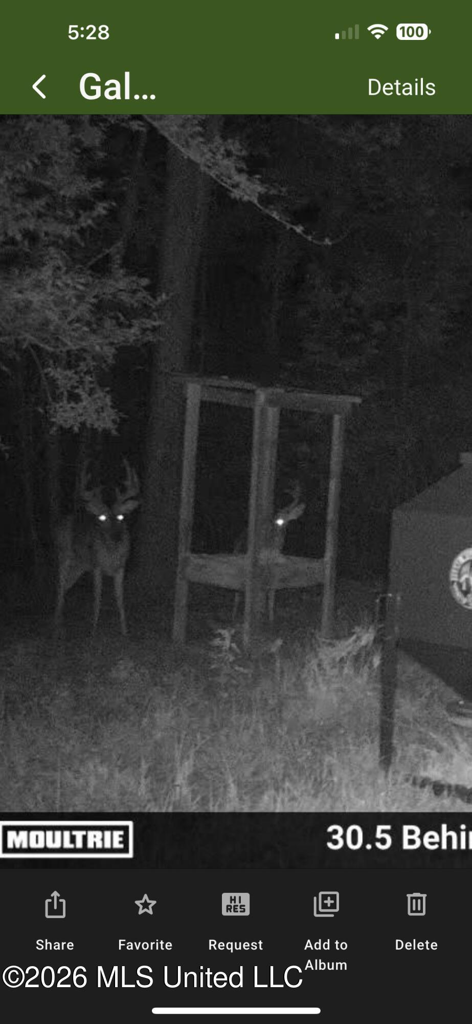 1351 Meadville Road Union Church, MS 39668 - Photo 55 of 55 IMG_4369