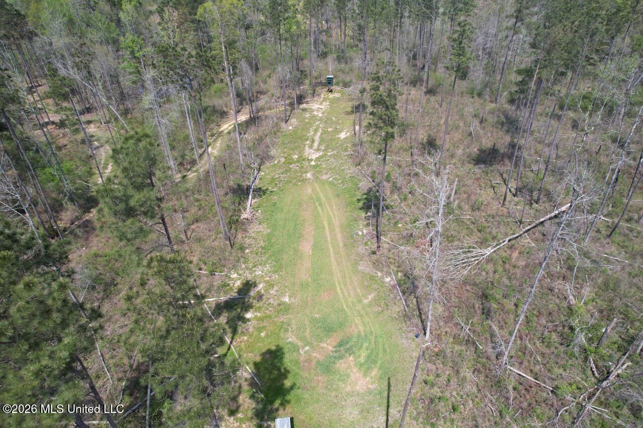 1351 Meadville Road Union Church, MS 39668 - Photo 6 of 55 DJI_0524 Large