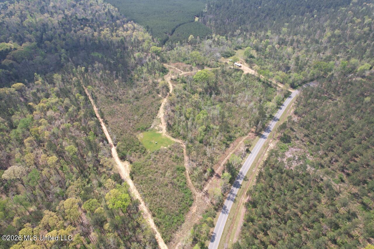 1351 Meadville Road Union Church, MS 39668 - Photo 7 of 55 DJI_0528 Large