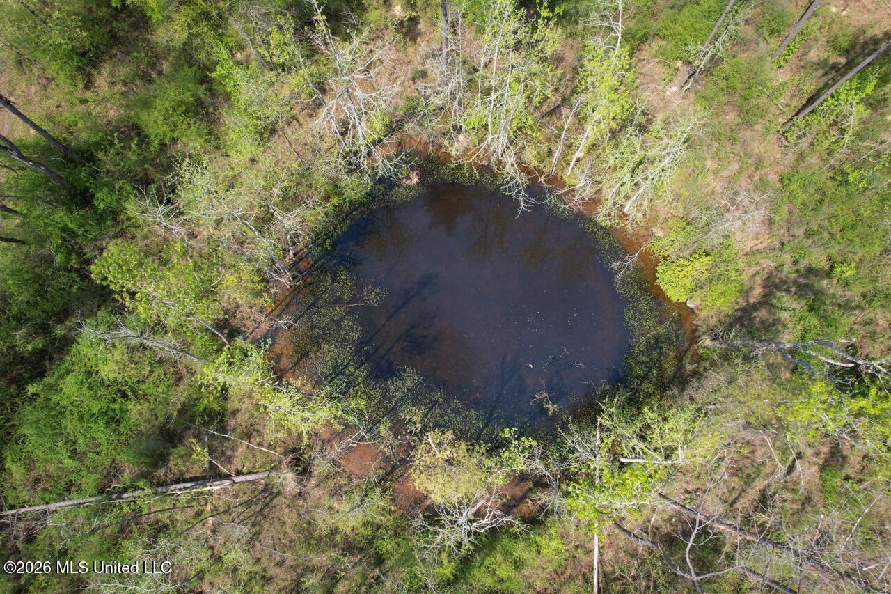 1351 Meadville Road Union Church, MS 39668 - Photo 9 of 55 DJI_0535 Large