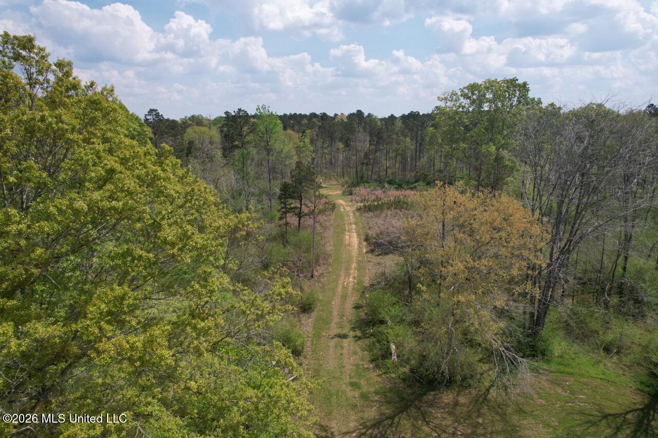 1351 Meadville Road Union Church, MS 39668 - Photo 10 of 55 DJI_0539 Large