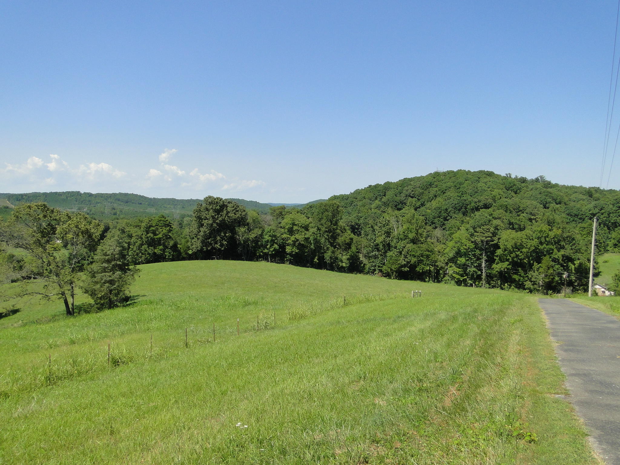 Lot #2 Brickell Ridge Road Decatur, TN 37322 - Photo 3 of 3 DSC09049