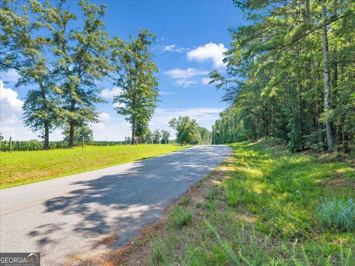 336 Piney Grove Road Comer, GA 30629 - Photo 4 of 20