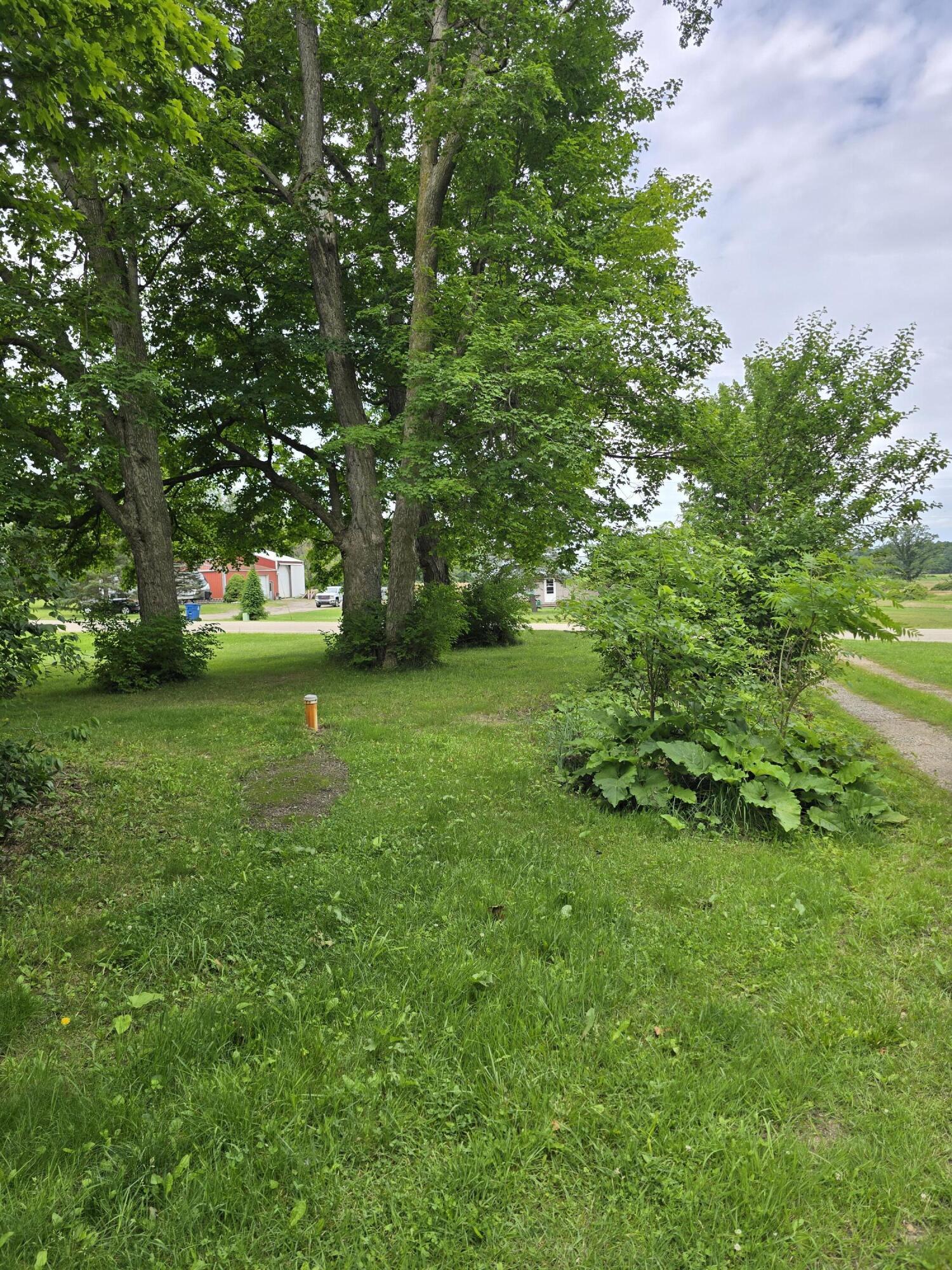 8733 South Cochran Road Charlotte, MI 48813 - Photo 19 of 30 20260624_125102