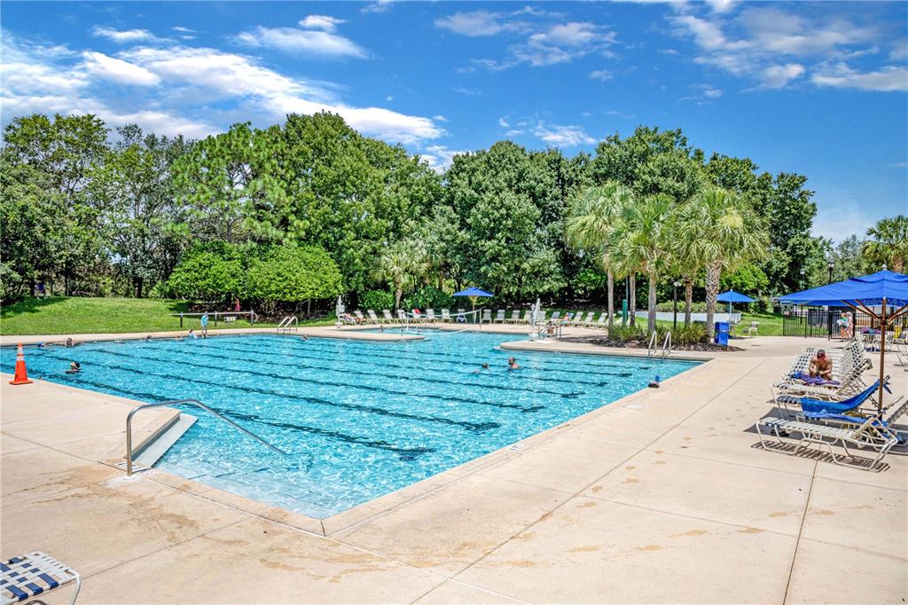 5842 Fishhawk Ridge Drive Lithia, FL 33547 - Photo 54 of 59