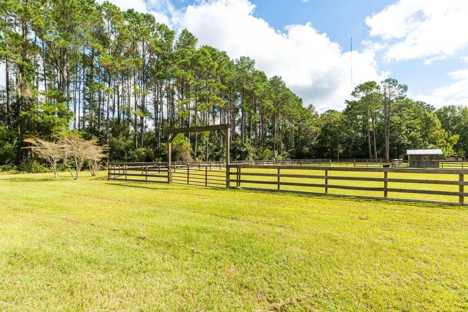 4859 Seewee Road Awendaw, SC 29429 - Photo 3 of 30 seewee 3