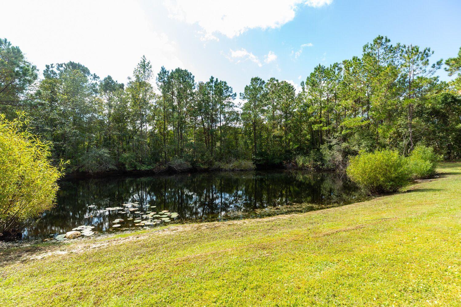 4859 Seewee Road Awendaw, SC 29429 - Photo 26 of 30 seewee 25