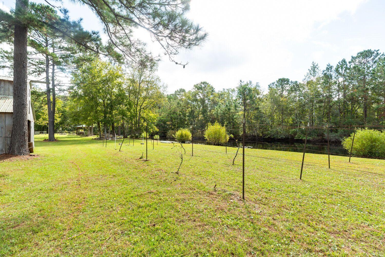 4859 Seewee Road Awendaw, SC 29429 - Photo 9 of 30 seewee 6