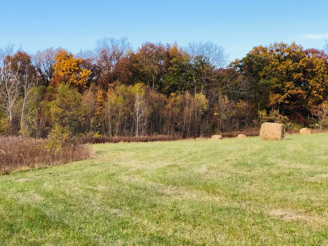 a view of yard with trees