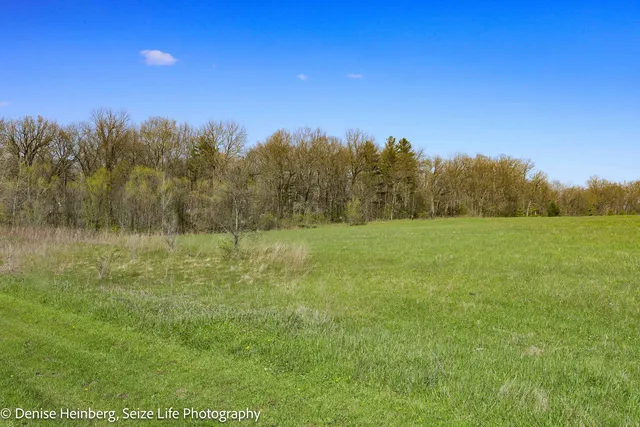 a view of a field with trees in the background