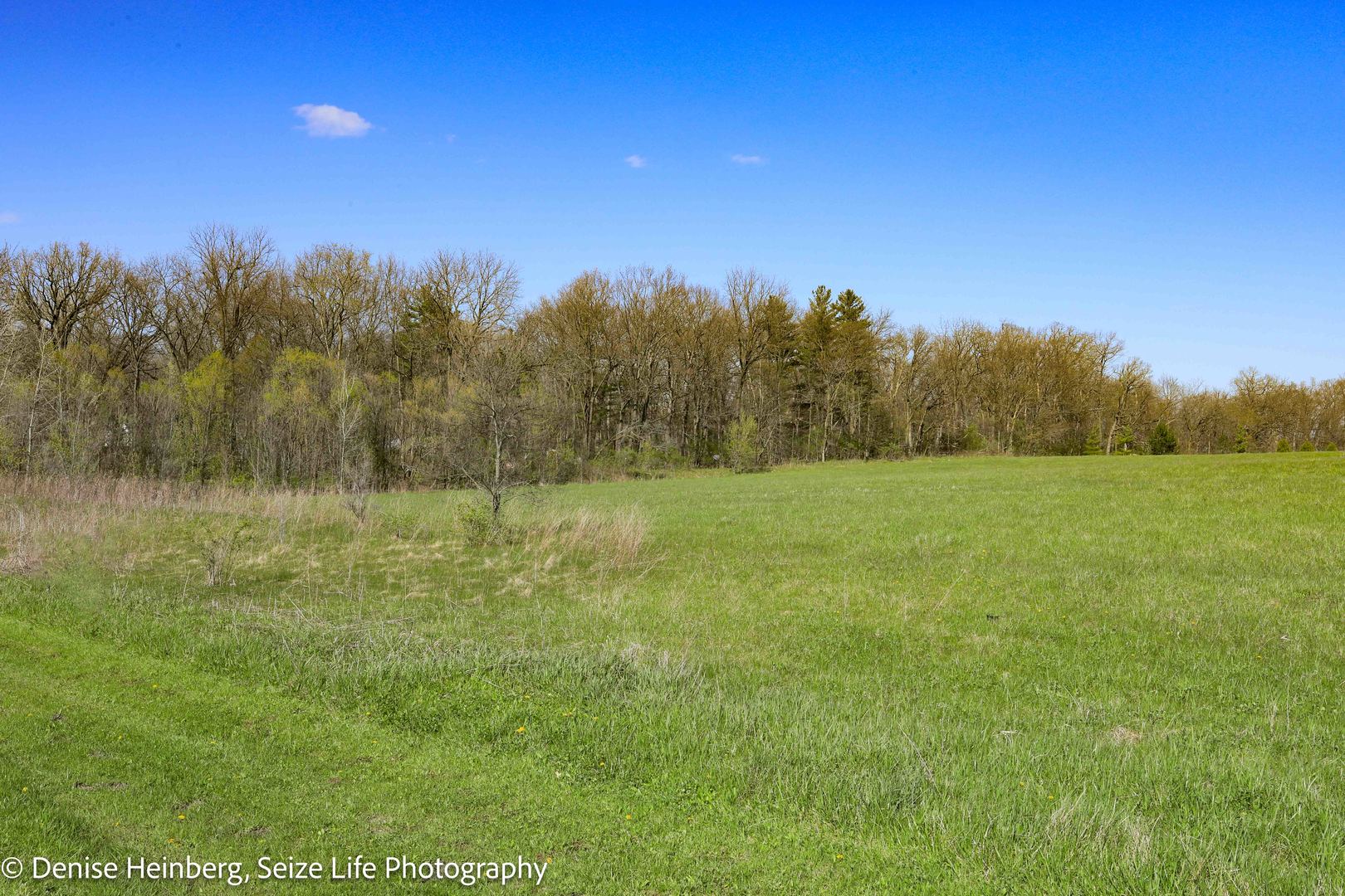 3114 Millstream Road Marengo, IL 60152 - Photo 5 of 6 a view of a field with trees in the background