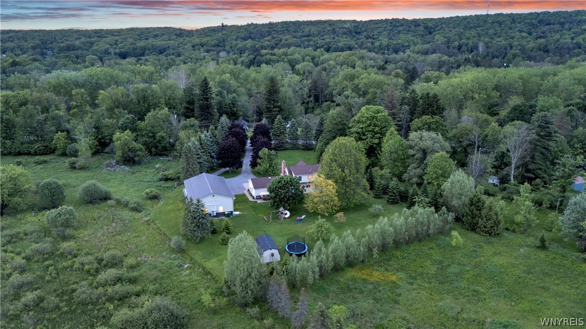 7542 Back Creek Road Boston, NY 14075 - Photo 50 of 50