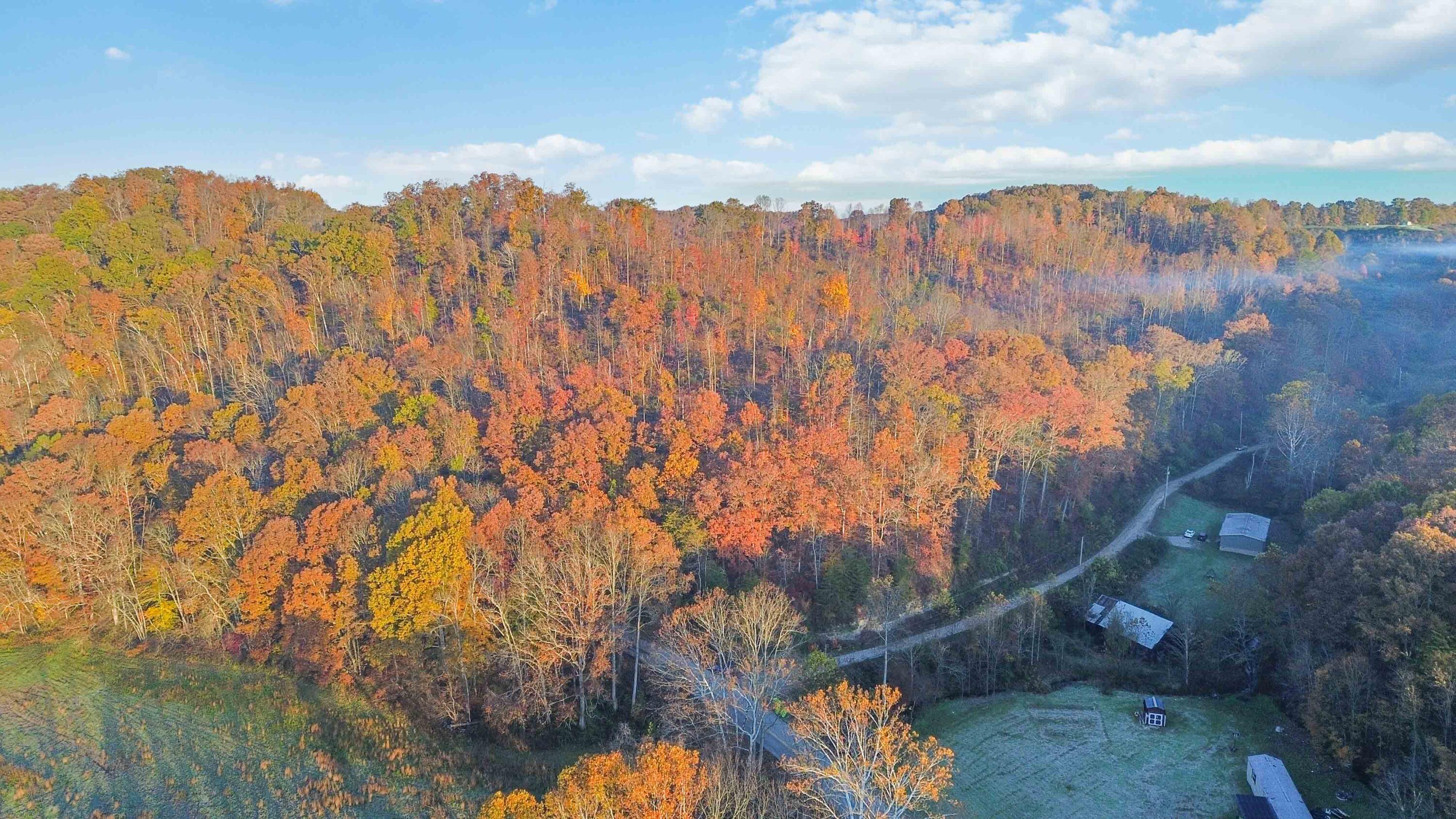 0 Terrells Creek Road London, KY 40741 - Photo 8 of 13 007