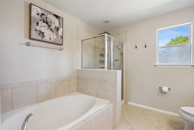 $435,000 | 20811 Sullivan Ranch Boulevard, Mount Dora, FL 32757