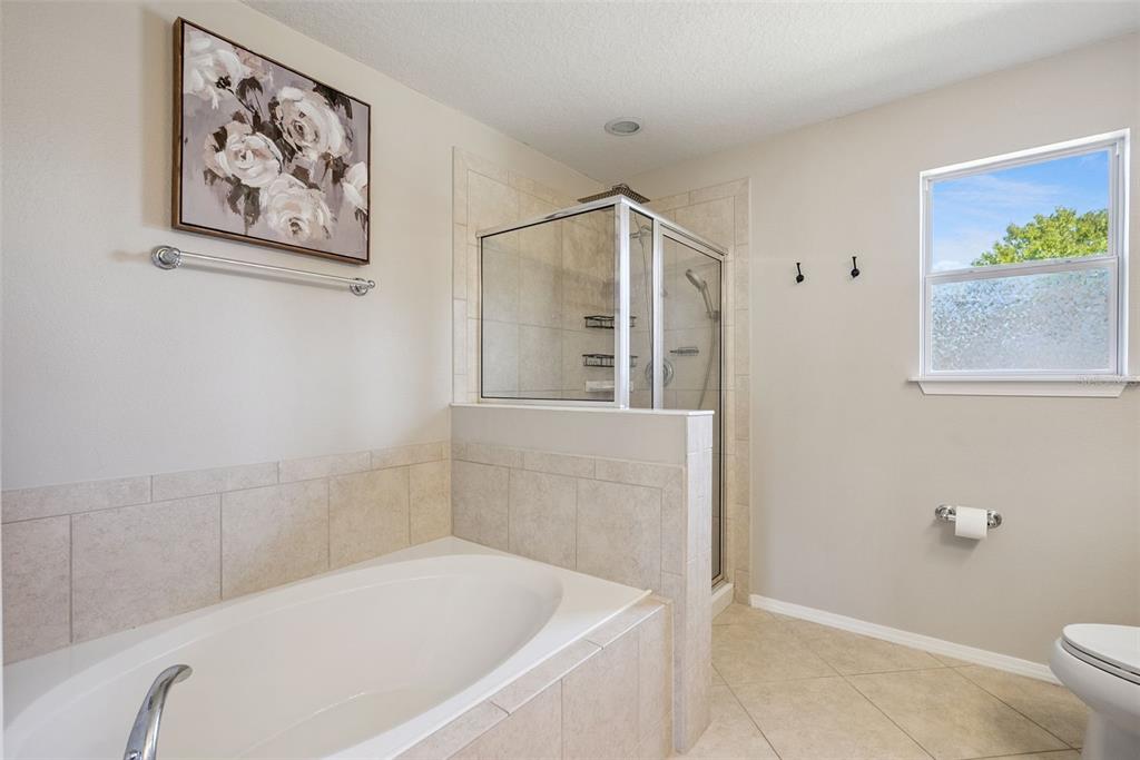 20811 Sullivan Ranch Boulevard Mount Dora, FL 32757 - Photo 26 of 51