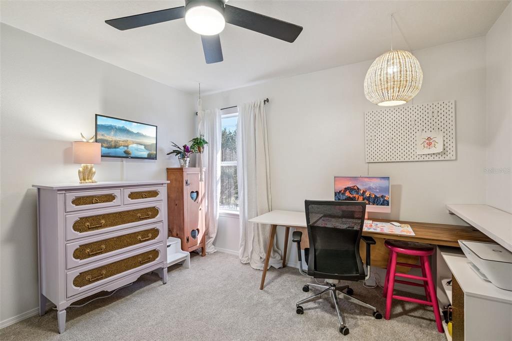 20811 Sullivan Ranch Boulevard Mount Dora, FL 32757 - Photo 31 of 51