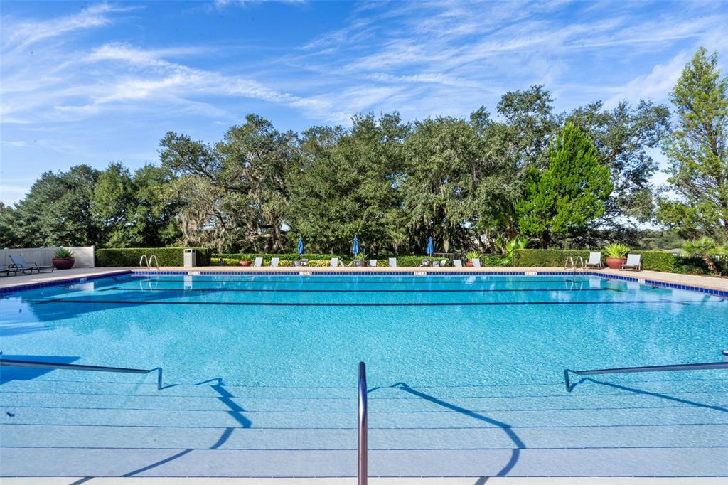 20811 Sullivan Ranch Boulevard Mount Dora, FL 32757 - Photo 47 of 51