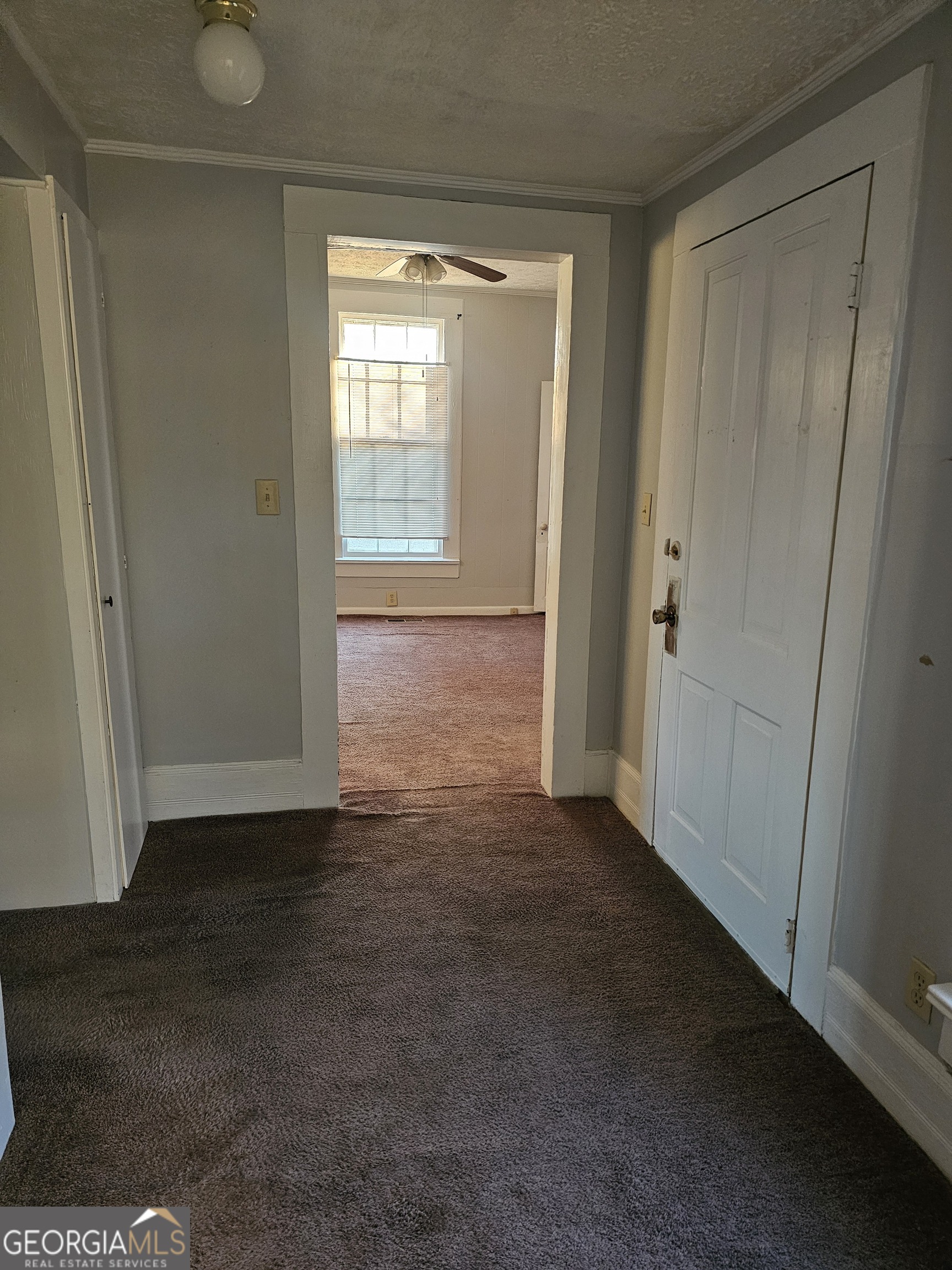 1325 3rd Street Dudley, GA 31022 - Photo 7 of 13