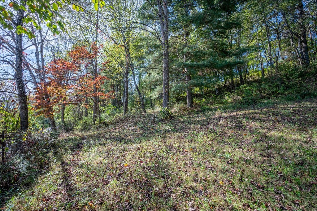 749 Knight Road Rural Retreat, VA 24368 - Photo 52 of 76 Gallery Image 52