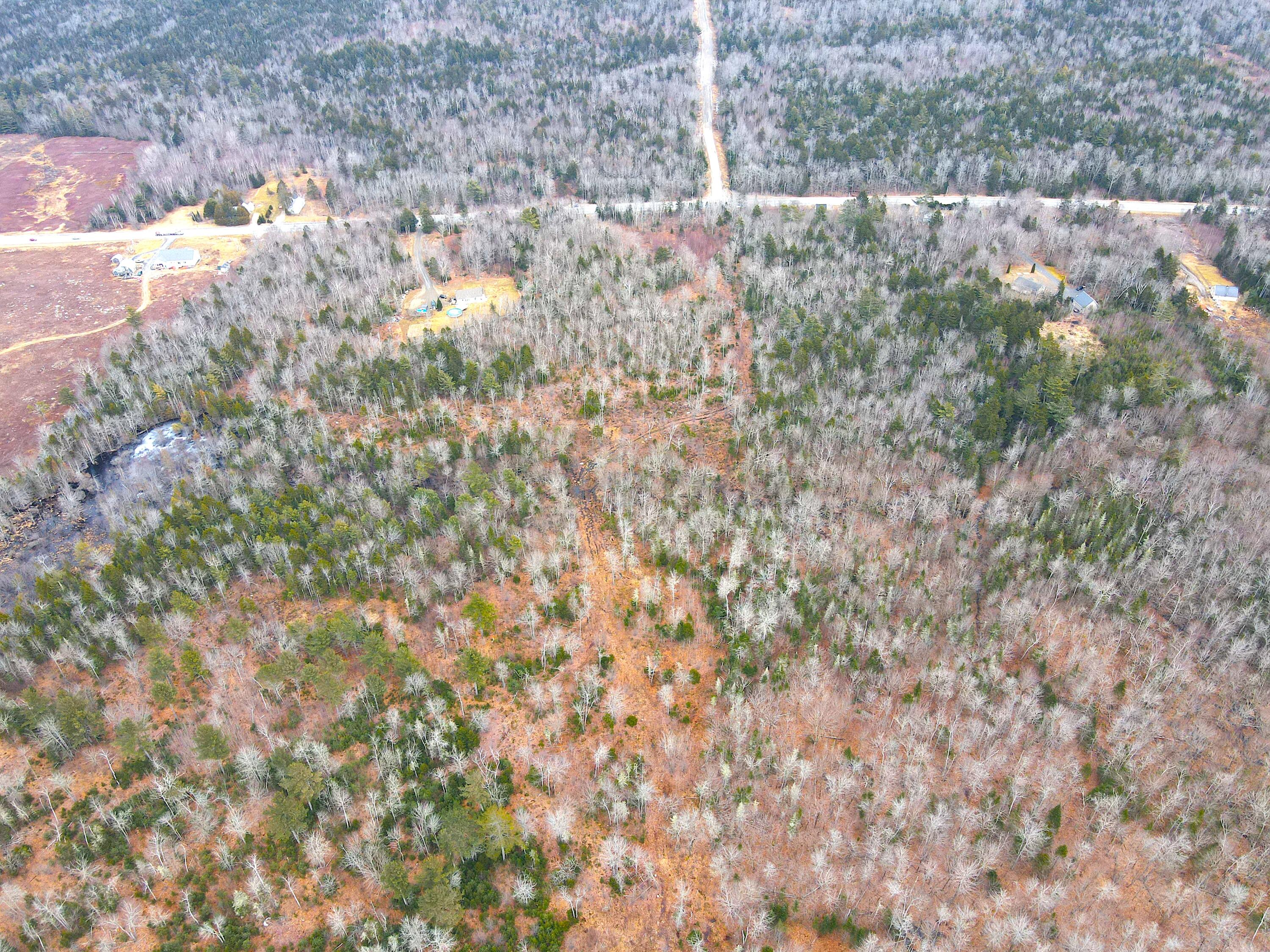 Lot#145 Bangor Road Stockton Springs, ME 04981 - Photo 13 of 17 2024-03-09 13.45.34