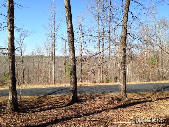 83 Cross Ridge Drive, Unit 83 Rutherfordton, NC 28139 - Photo 2 of 12