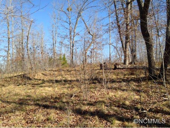 83 Cross Ridge Drive, Unit 83 Rutherfordton, NC 28139 - Photo 3 of 12